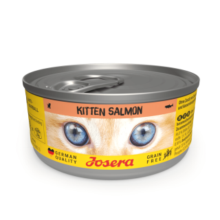 Kitten Salmon