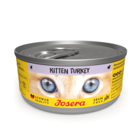 Kitten Turkey